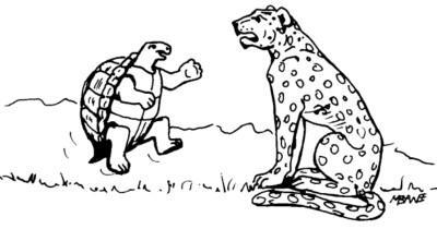Image de la tortue et le leopard Image de la tortue et le leopard